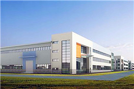 食品廠(chǎng)2臺(tái)10噸燃?xì)饫淠仩t案例